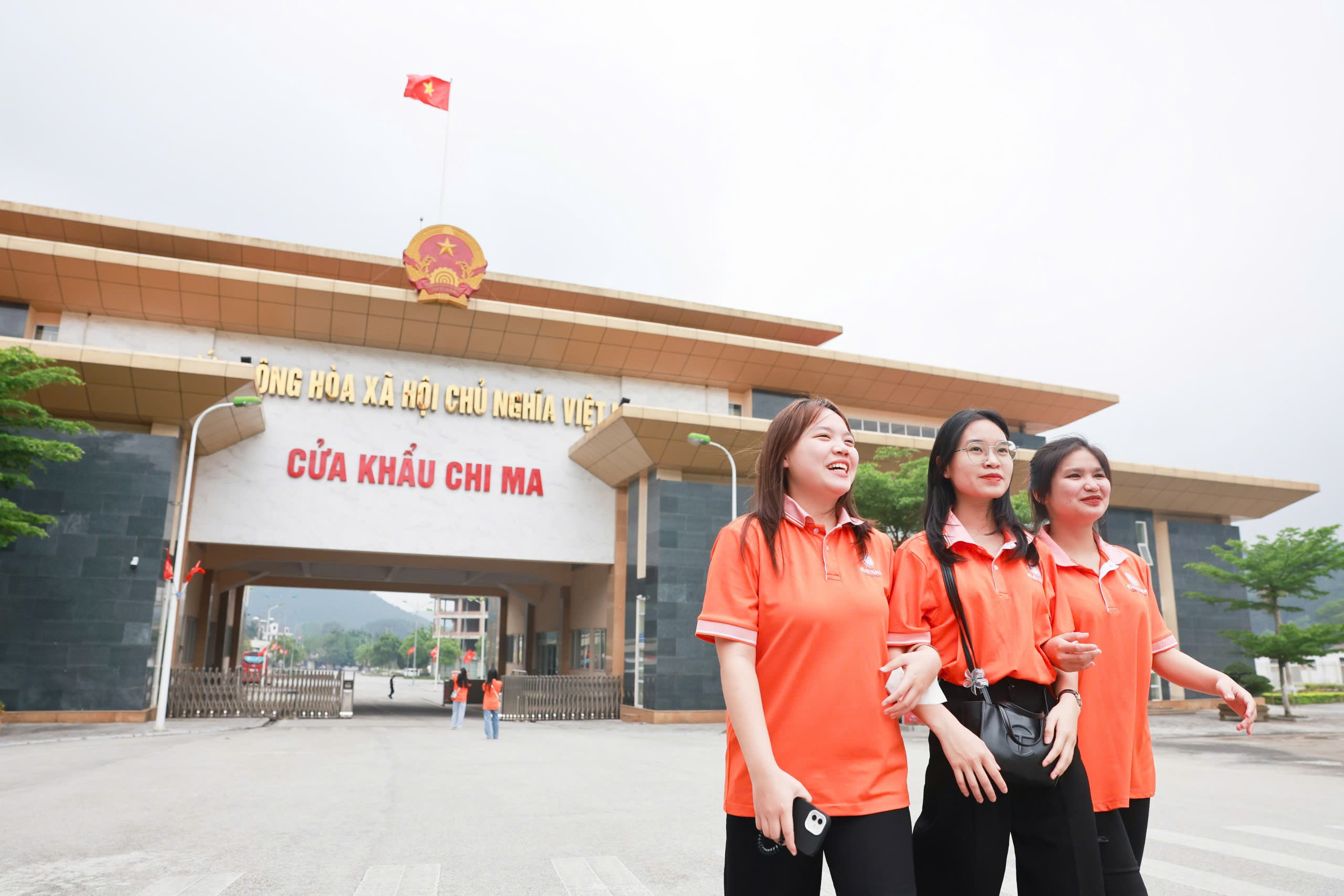 Student ability image